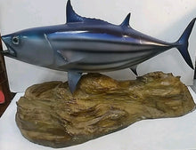 Load image into Gallery viewer, Trophy Skipjack Tuna trophy fish mount Replica from Mexico 1980’s “