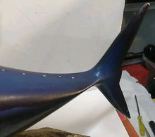 Load image into Gallery viewer, Trophy Skipjack Tuna trophy fish mount Replica from Mexico 1980’s “