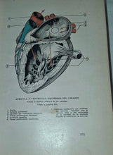 Load image into Gallery viewer, The New Family Doctor (Spanish Edition) El Nuevo Médico de la Familia 1925