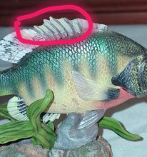Load image into Gallery viewer, Danbury Mint The Angler's Showcase 24 North American Game Fish Figurines W/ Case