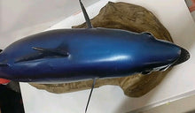 Load image into Gallery viewer, Trophy Skipjack Tuna trophy fish mount Replica from Mexico 1980’s “