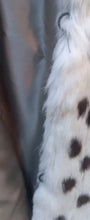 Load image into Gallery viewer, Vintage City Furs Of London Rabbit Fur Jacket Ivory/Brown Spotted Short Coat
