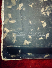 Load image into Gallery viewer, Original & Signed FRAN SKILES “Sitting Bird Series I” Mixed Media Collage 34x21