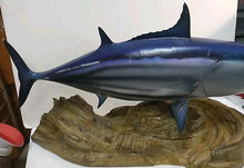 Load image into Gallery viewer, Trophy Skipjack Tuna trophy fish mount Replica from Mexico 1980’s “