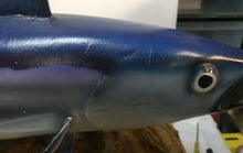 Load image into Gallery viewer, Trophy Skipjack Tuna trophy fish mount Replica from Mexico 1980’s “