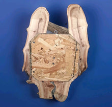 Load image into Gallery viewer, Taxidermy Raccoon Wall Mount on Rustic Driftwood Log Cabin Woodland Decor