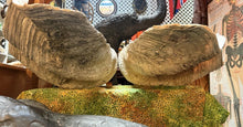 Load image into Gallery viewer, Unique Rare Extra Large Giant Clam Shell -Tridacna gigas - both halves, 34.5”