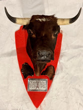 Load image into Gallery viewer, Vintage Mexican Toro Hostelero Bull Head Taxidermy Trophy Mount Tijuana 1969