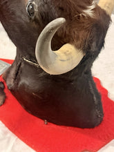 Load image into Gallery viewer, Vintage Mexican Toro Hostelero Bull Head Taxidermy Trophy Mount Tijuana 1969