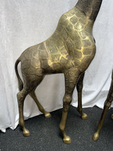 Load image into Gallery viewer, Share Large pair of vintage elegant statuesque brass Giraffe statues 1970’s!!