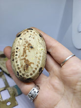 Load image into Gallery viewer, Vintage Oval Beaded-Edge Door Knob Set, Reclaimed Hardware (EFO)