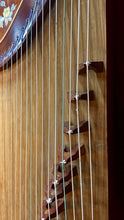 Load image into Gallery viewer, Yangzhou Chinese Guzheng 21-String Zither Mother-of-Pearl Inlay Professional