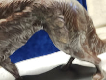 Load image into Gallery viewer, Vintage Deco 10" Patinated Bronze Sculpture Borzoi Wolfhound Dog