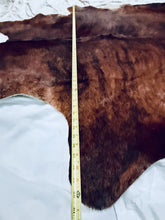Load image into Gallery viewer, Show Grade Brindle Cowhide Rug 7x5 High Gloss Branded Brazilian Hair on Hide XL
