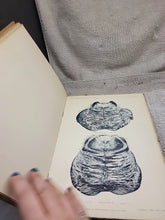 Load image into Gallery viewer, Central Nervous System Atlas des Menschlichen Zentralnervensystems 1904 Germany