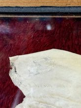 Load image into Gallery viewer, British Indentured Servant Contract 1785 with Wax Seals Shillings & Tax Stamps