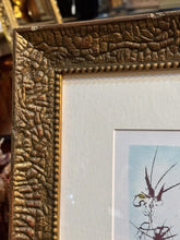 Load image into Gallery viewer, LM2-Salvador Dali CALIGULA’S HORSE Limited Ed 60/150 Giclee Frame 27.5x21.5 COA