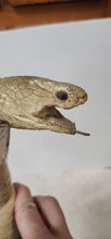 Load image into Gallery viewer, 26" Strike Position Cobra Snake Taxidermy Reptile Mount Vintage Southeast Asia