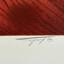 Load image into Gallery viewer, RM2- FERJO ‘Lady in Green’ Lithograph 36x31.5 Framed 98/250 Hand Signed COA