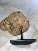 Load image into Gallery viewer, Ancient Indian sandstone horse head mounted on metal base 1st-2nd Century BCE!!