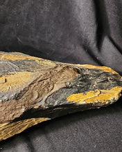 Load image into Gallery viewer, ANTIQUE MALLARD DECOY NEW YORK LOUISIANA CANADA NR LURE
