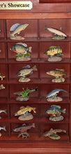 Load image into Gallery viewer, Danbury Mint The Angler's Showcase 24 North American Game Fish Figurines W/ Case
