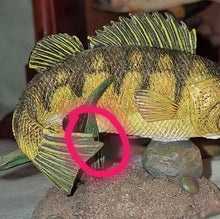 Load image into Gallery viewer, Danbury Mint The Angler's Showcase 24 North American Game Fish Figurines W/ Case
