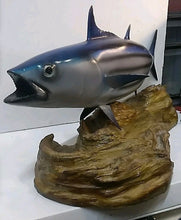 Load image into Gallery viewer, Trophy Skipjack Tuna trophy fish mount Replica from Mexico 1980’s “
