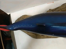 Load image into Gallery viewer, Trophy Skipjack Tuna trophy fish mount Replica from Mexico 1980’s “
