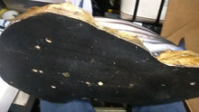 Load image into Gallery viewer, Trophy Skipjack Tuna trophy fish mount Replica from Mexico 1980’s “
