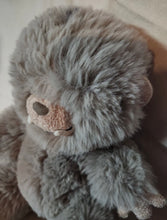Load image into Gallery viewer, Jellycat Bo Bigfoot Plush Toy Retired Rare Authentic
