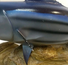 Load image into Gallery viewer, Trophy Skipjack Tuna trophy fish mount Replica from Mexico 1980’s “
