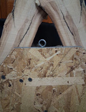 Load image into Gallery viewer, Taxidermy Raccoon Wall Mount on Rustic Driftwood Log Cabin Woodland Decor
