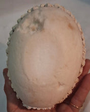 Load image into Gallery viewer, Vintage Sugar Egg Easter Diorama Panorama Egg Bunny Cottage Roses Handmade
