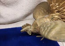 Load image into Gallery viewer, Vintage Brass Fighting Rooster Figurines/Bookends Made in Japan

