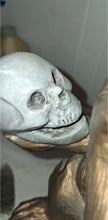 Load image into Gallery viewer, Vintage 1969 Austin Sculpture Darwin Thinking Ape Monkey Statue Holding Skull
