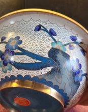 Load image into Gallery viewer, VTG CHINESE PRUNUS BLOSSOM BUTTERFLIES BLUE ROOT ROCK CLOISONNÉ 7” FOOTED BOWL
