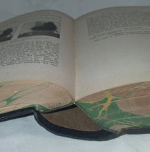 Load image into Gallery viewer, The New Family Doctor (Spanish Edition) El Nuevo Médico de la Familia 1925
