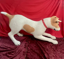 Load image into Gallery viewer, Vintage Large Fiberglass 48" Jack Russell Terrier Dog Store Advertising Display
