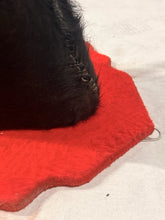 Load image into Gallery viewer, Vintage Mexican Toro Hostelero Bull Head Taxidermy Trophy Mount Tijuana 1969

