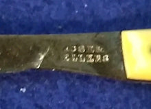 Load image into Gallery viewer, Antique Original U.S. Civil War Era Surgeon’s Dissection Kit by Horatio G. Kern
