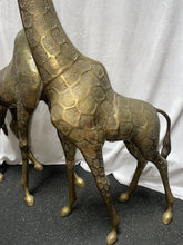 Load image into Gallery viewer, Share Large pair of vintage elegant statuesque brass Giraffe statues 1970’s!!
