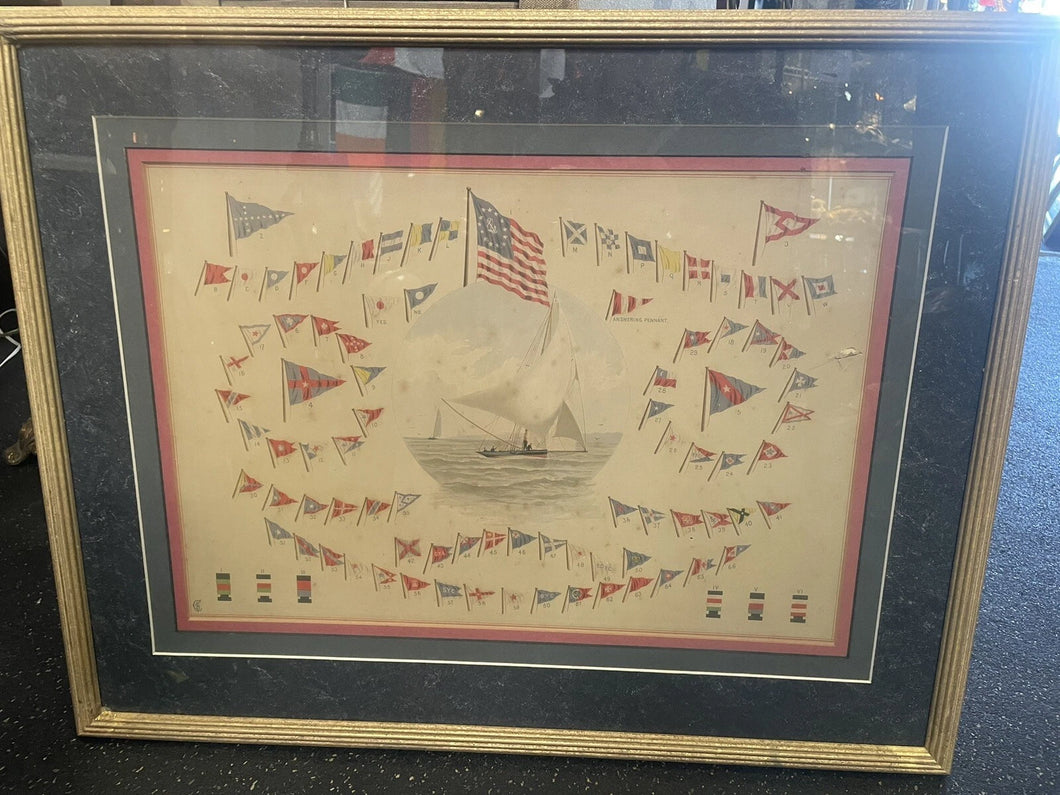 Framed 1884 Plate 26 By Frederic S. Cozzens Chromolithograph ”Signal Chart”