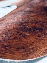 Load image into Gallery viewer, Show Grade Brindle Cowhide Rug 7x5 High Gloss Branded Brazilian Hair on Hide XL
