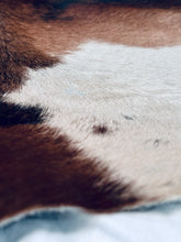 Load image into Gallery viewer, Show Grade Brindle Cowhide Rug 7x5 High Gloss Branded Brazilian Hair on Hide XL
