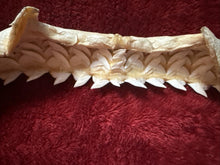 Load image into Gallery viewer, Massive 27" Wide XXL Tiger Shark Jaws Vintage
