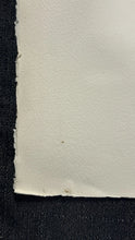 Load image into Gallery viewer, Judith Hall "Hearts &amp; Flowers" Hand Signed, Numbered 97/275 Embossed 36x21
