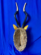 Load image into Gallery viewer, Vintage Large 23” African Tribal Blesbok Blesbuck Antelope Yellow Wood Mask
