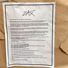 Load image into Gallery viewer, E.M. ZAX Original SIGNED Acrylic Painting On New Rogue Rocketeer Electric Guitar
