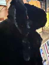 Load image into Gallery viewer, Vintage Stone Furs Vancouver Black Mink Fur Coat Satin Vine Lining
